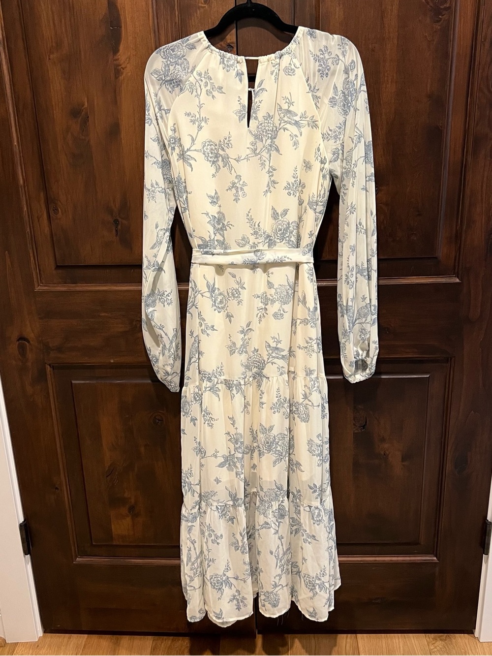 Ivy City Co Imogene Cream Maxi Dress with Blue Toile Floral Print - Picture 5 of 6